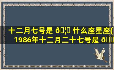十二月七号是 🦁 什么座星座(1986年十二月二十七号是 🐡 啥星座)
